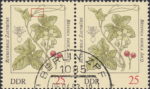 GDR 1982 flowers Bryonia Dioica Jacq. postage stamp plate flaw The first leaf stem above the leaf to the right broken.