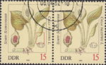 GDR Posionous Plants 1982 Calla Palustris postage stamp plate flaw Red line below the right leaf.