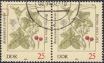 GDR 1982 flowers Bryonia Dioica Jacq. postage stamp plate flaw Red dot above letter E in ZAUNRÜBE.
