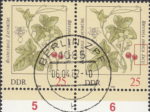 GDR 1982 flowers Bryonia Dioica Jacq. postage stamp plate flaw Thin frame between words DIOICA and JACQ.