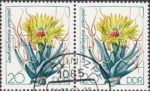 GDR 1983 Cactus plant Leuchtenbergia principis postage stamp plate flaw Spine to the left from the lower broken.
