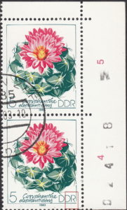 GDR 1983 Cactus plant Coryphantha elephantidens postage stamp plate flaw Right frame next to the letter R of DDR curvy.