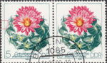 GDR 1983 Cactus plant Coryphantha elephantidens postage stamp plate flaw Tiny breach in left frame.