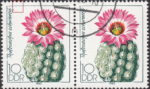GDR 1983 Cactus plant Thelocactus schwarzii postage stamp plate flaw Tiny breach in top frame to the left.