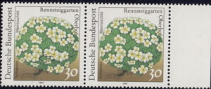Germany 1991 flowers Androsace helvetica postage stamp flaw