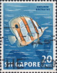 Singapore 1962 postage stamp plate flaw Copperband butterflyfish nick in fin