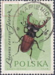 Poland Lucanus cervus postage stamp plate flaw
