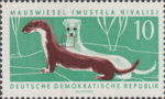 GDR 1962 weasel postage stamp plate flaw