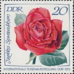 DDR 1766 GDR Rose Izetka Spreeathen Teehybride postage stamp error