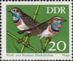 Songbird White-spotted and red-spotted bluethroat GDR postage stamp