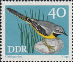 GDR postage stamp songbird Gray wagtail