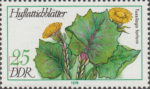 GDR 1978 postage stamp medicinal plant Tussilago farfara DDR 2290