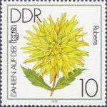 GDR 1979 postage stamp Flower Dahlia Rubens plate flaw DDR 2435