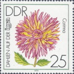 GDR 1979 postage stamp Dahlia Corinna plate flaw DDR 2437