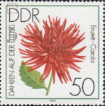 GDR 1979 postage stamp Dahlia Enzet Carola plate flaw DDR 2439