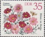Germany postage stamp Cosmos bipinnatus