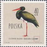 Poland Ciconia Nigra bird postage stamp plate flaw