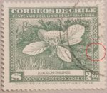 Chile Claudio Gay stamp plate flaw
