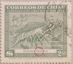 Palinurus frontalis on Chilean postage stamp.